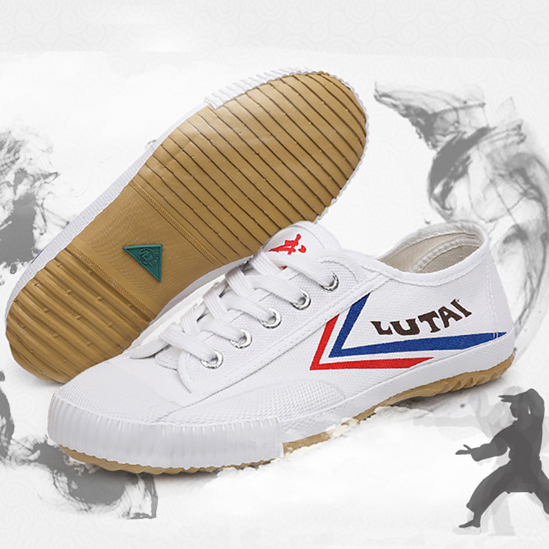 CLYFAN EU37-46 zapatos de lona - Men Shoes Size 46 reseña y precio